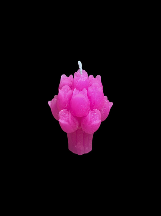 FIORI fucsia