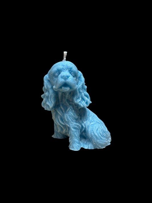 SPANIEL azzurro
