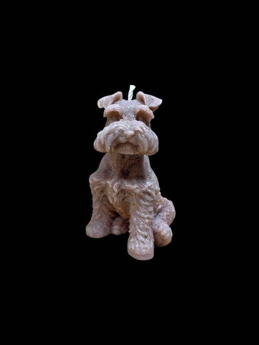 SCHNAUZER marrone