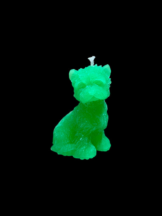 YORKSHIRE verde fluo