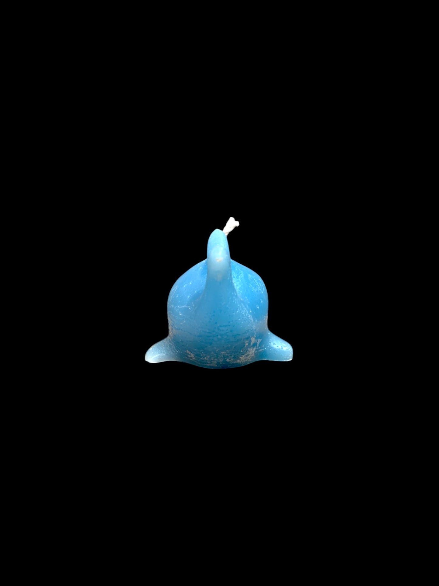 DELFINO azzurro