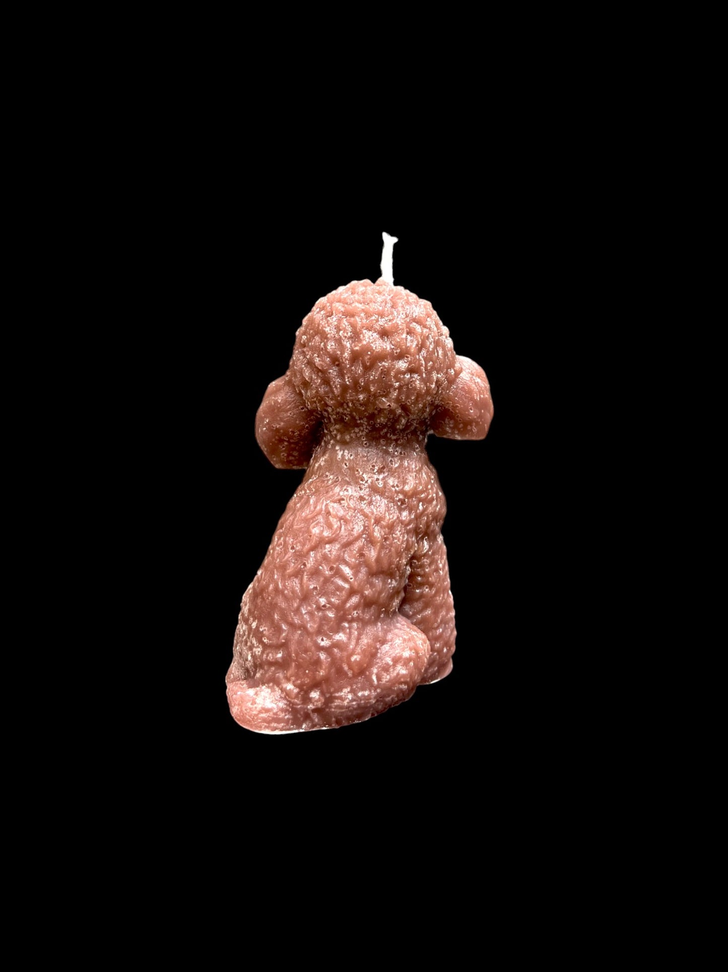 BARBONCINO marrone