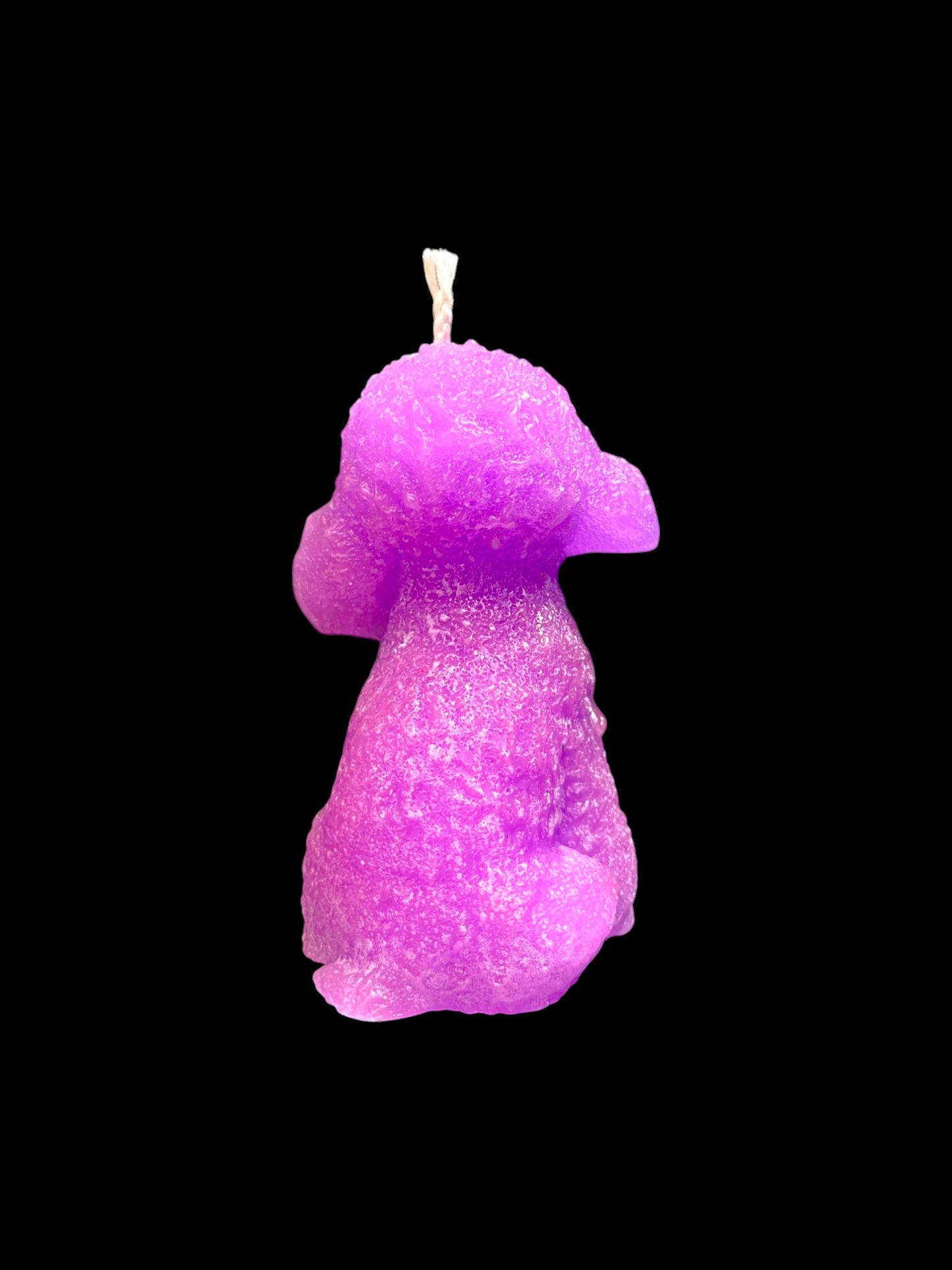 BARBONCINO viola