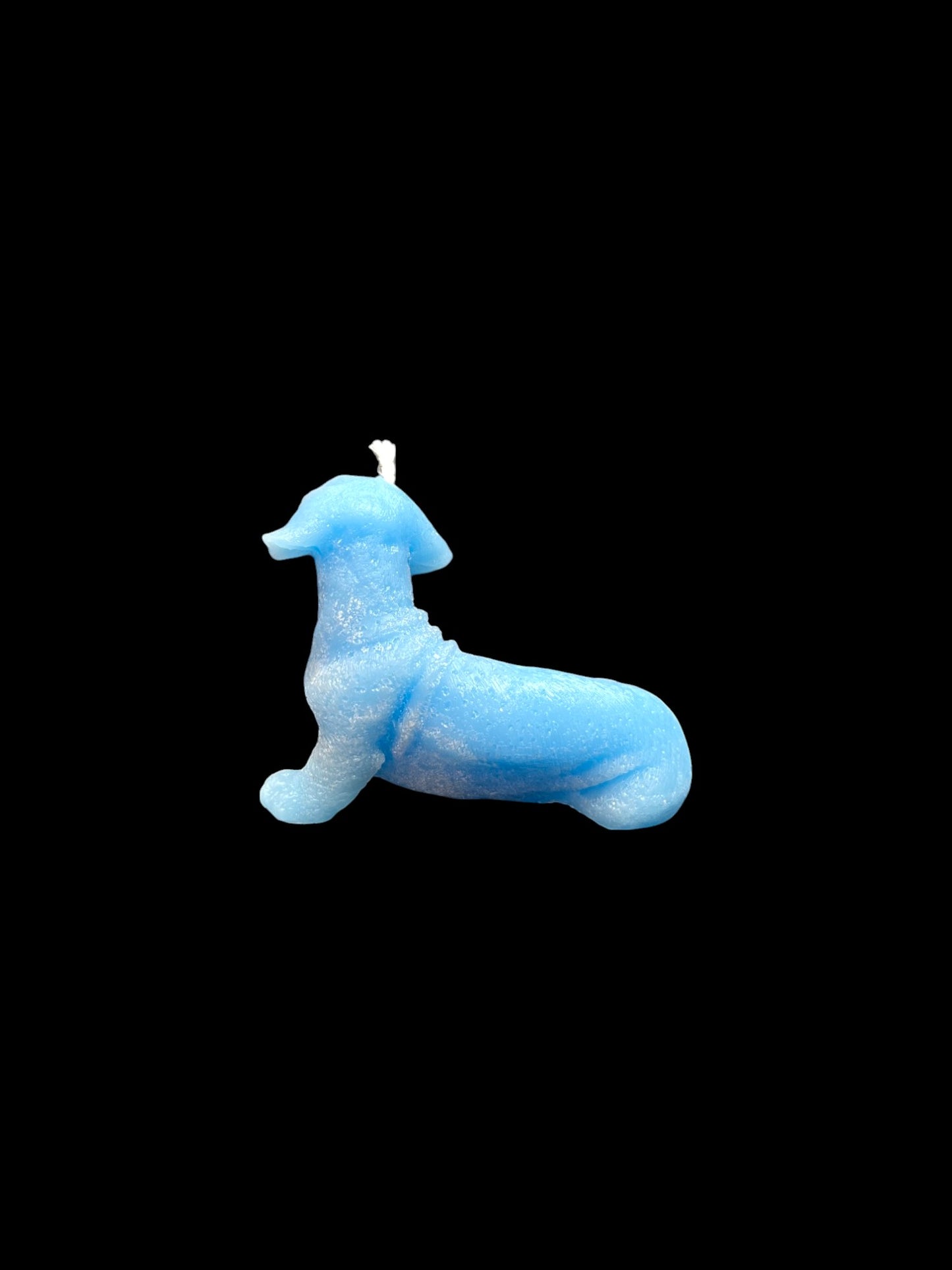 BASSOTTO azzurro