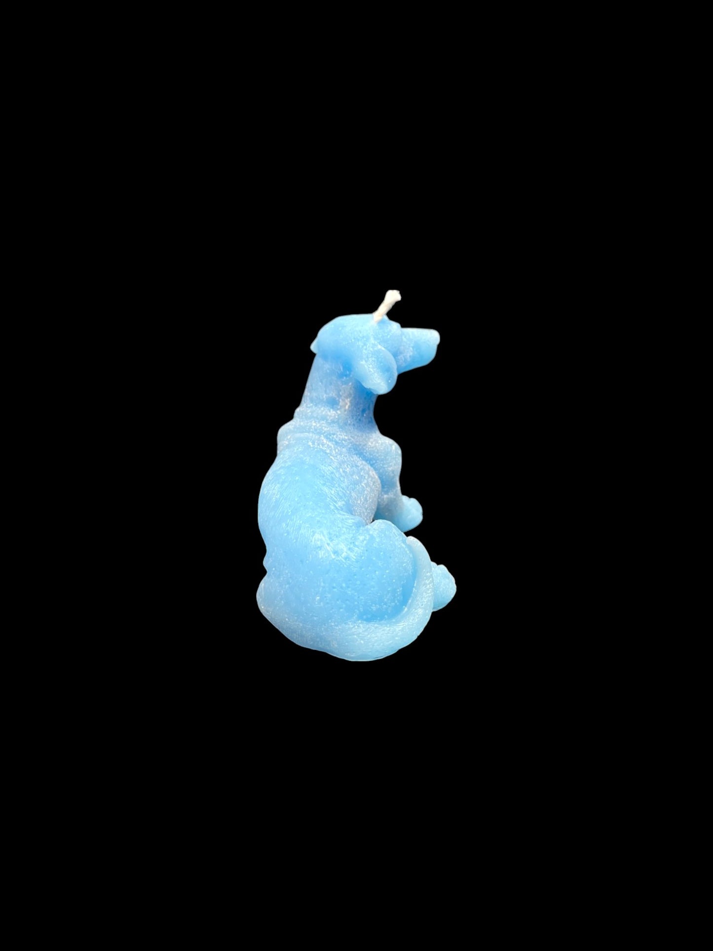 BASSOTTO azzurro