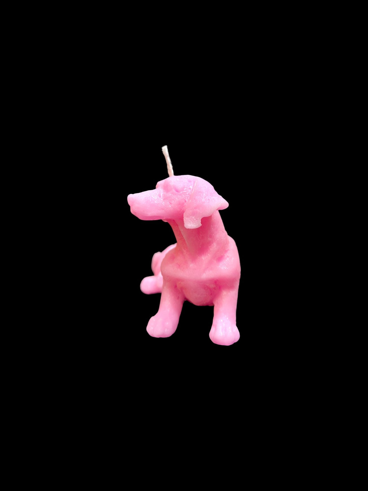 BASSOTTO rosa