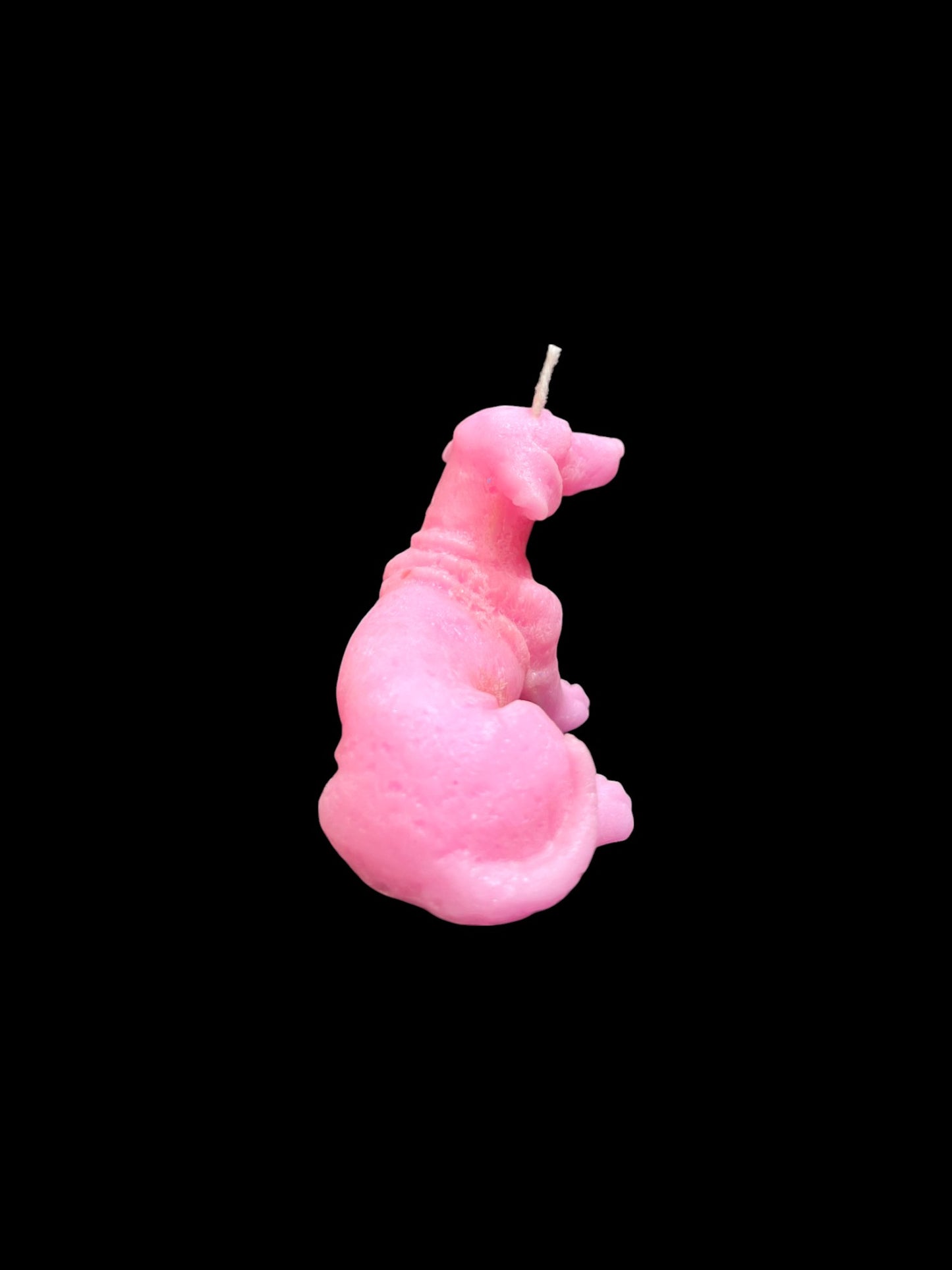 BASSOTTO rosa