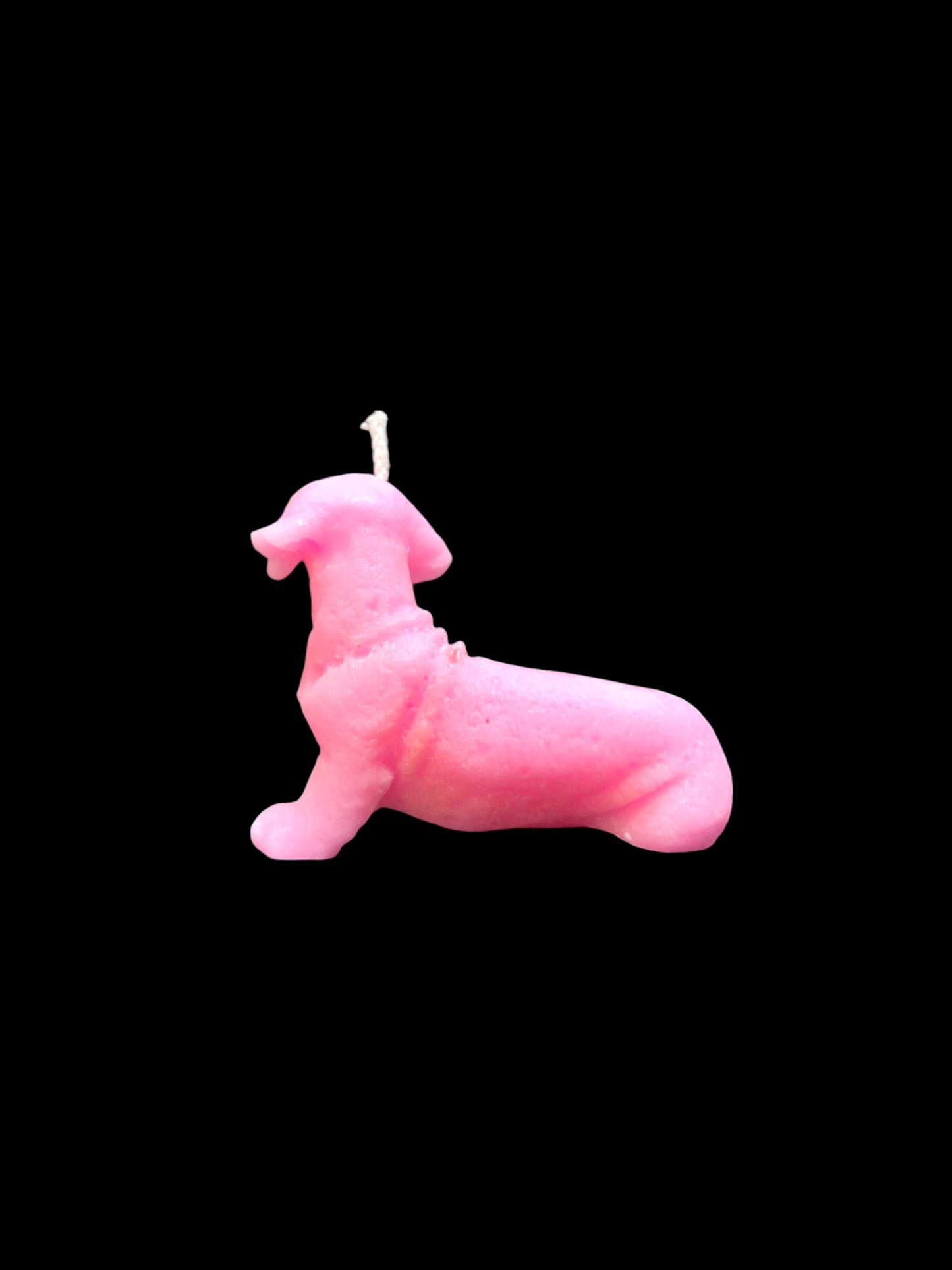BASSOTTO rosa