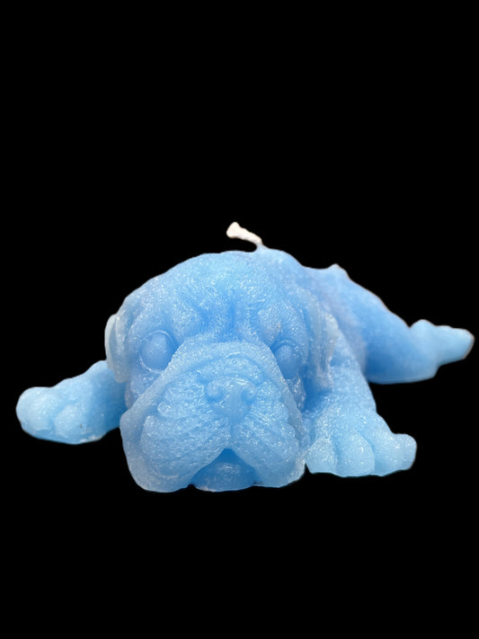 BULLDOG DISTESO azzurro