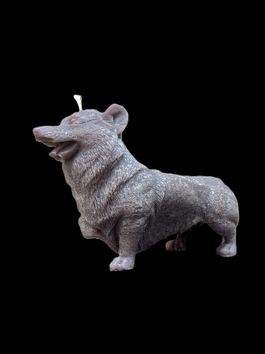CORGI marrone