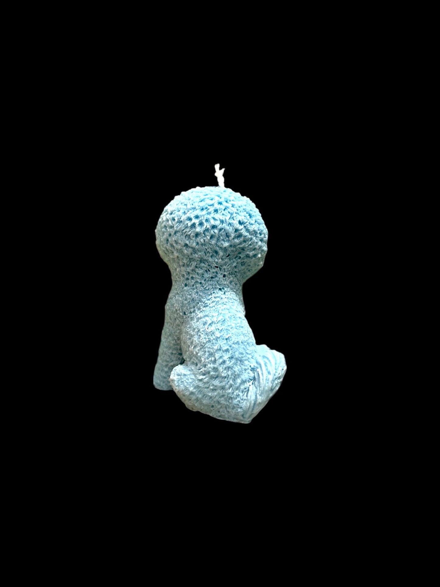 BICHON FRISÈ azzurro
