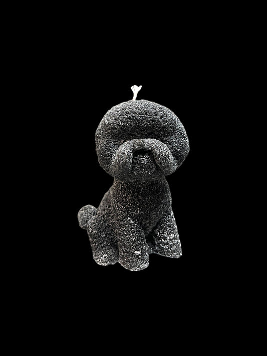 BICHON FRISÈ nero