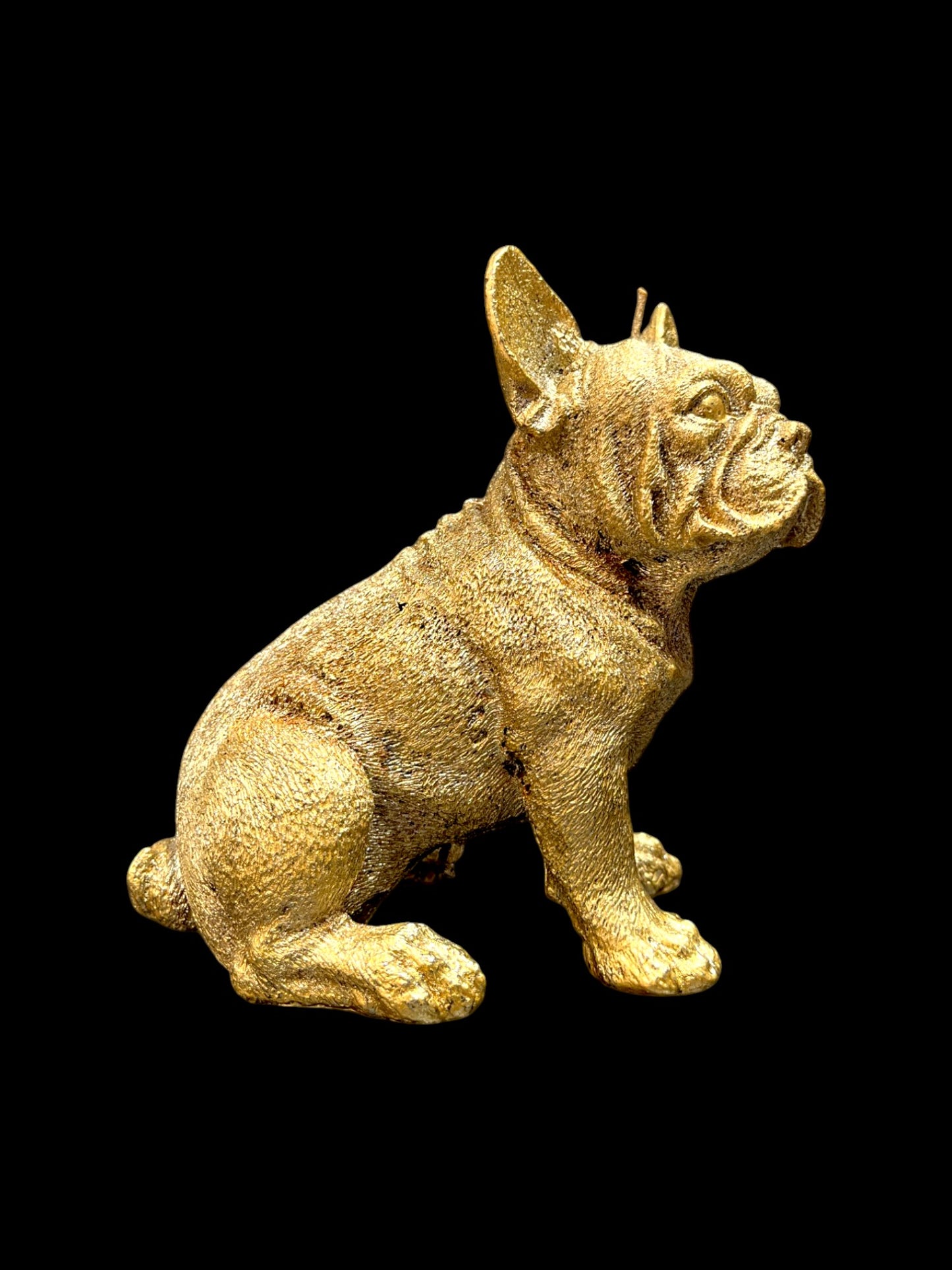 BULLDOG grande oro
