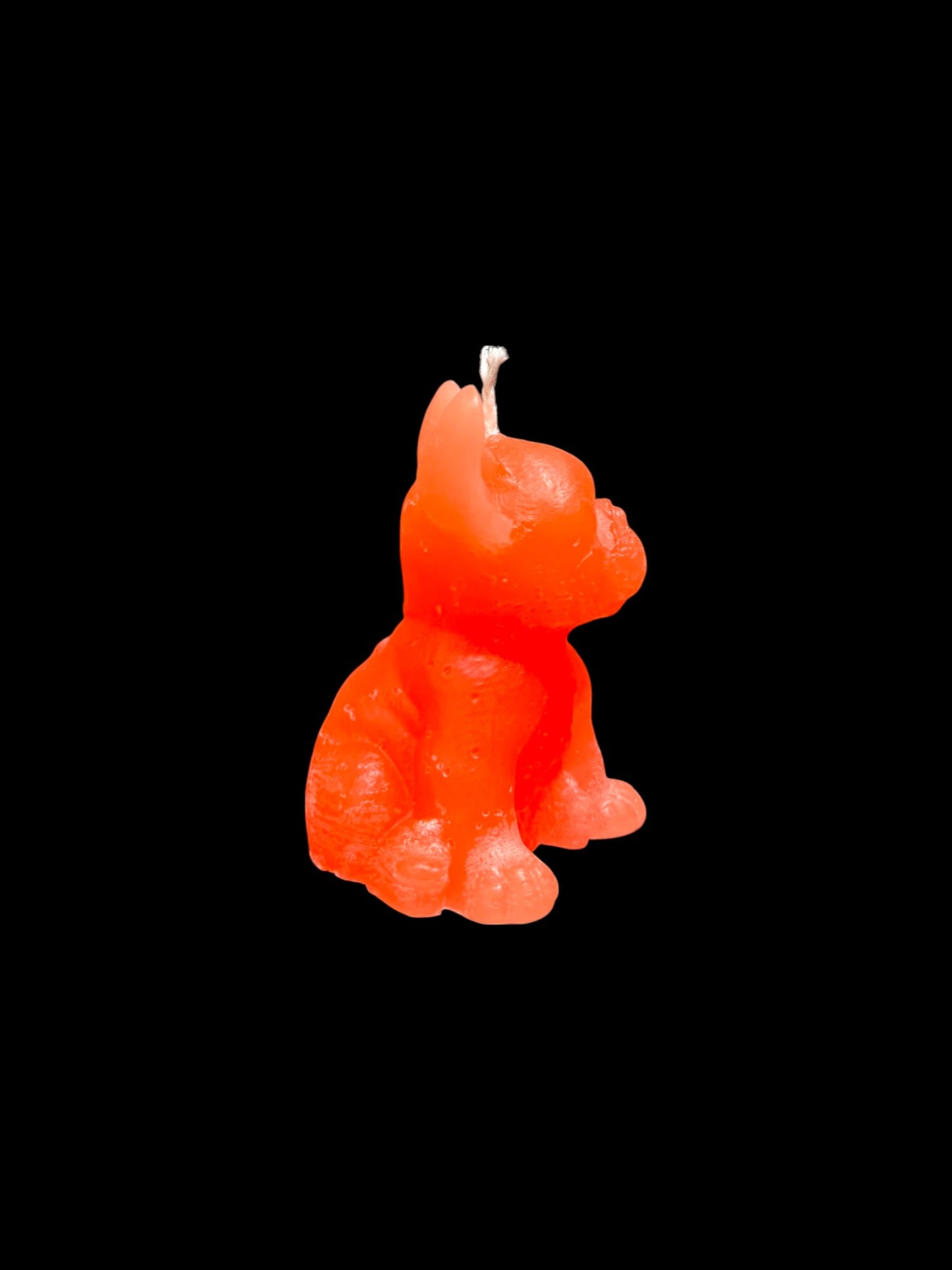 BULLDOG arancio fluo