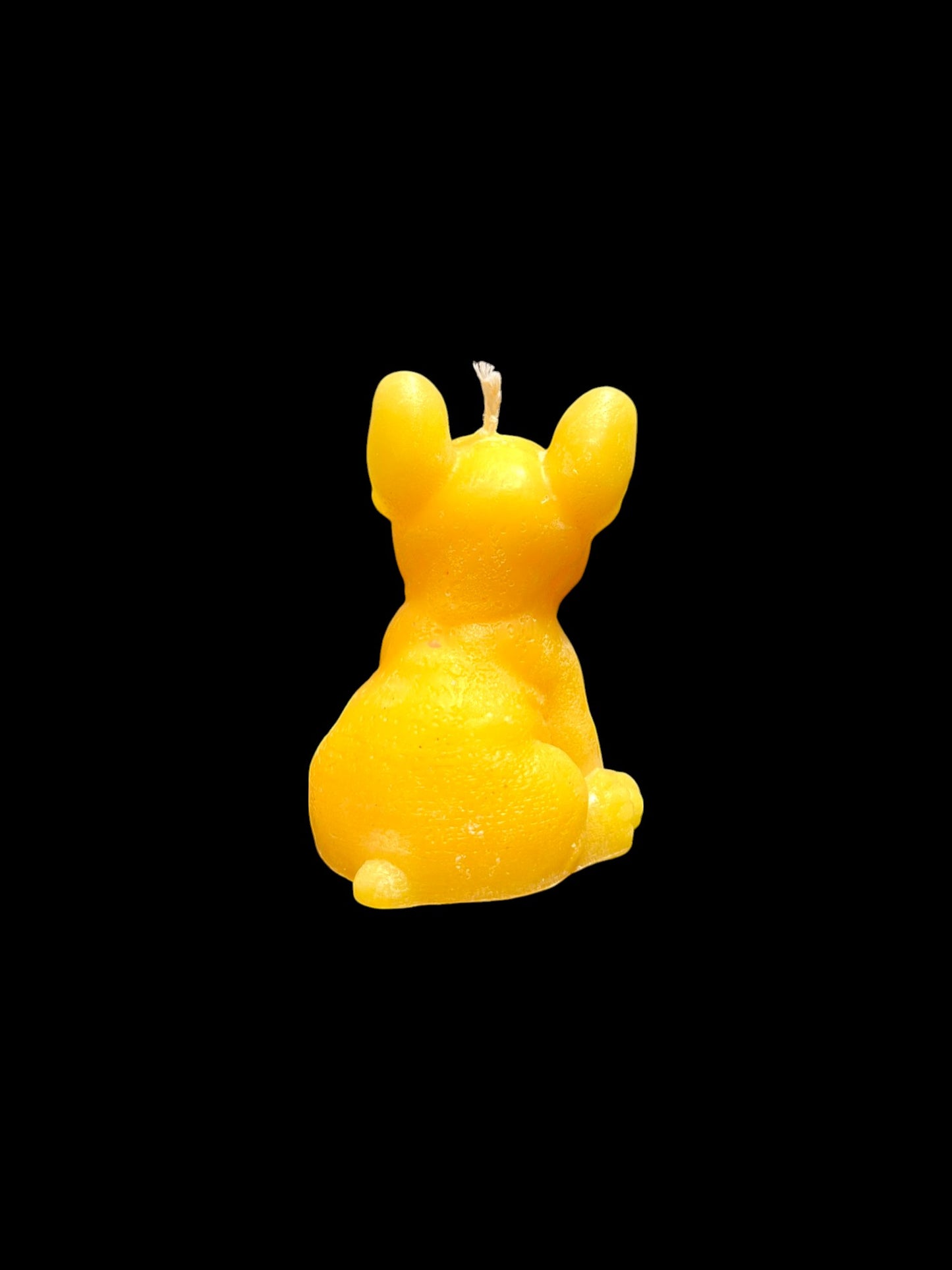 BULLDOG giallo