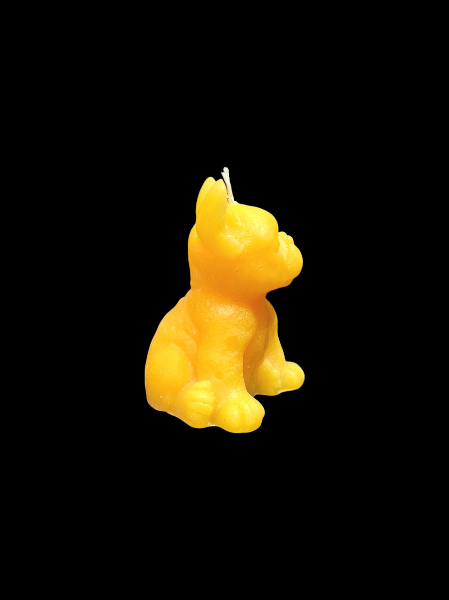 BULLDOG giallo