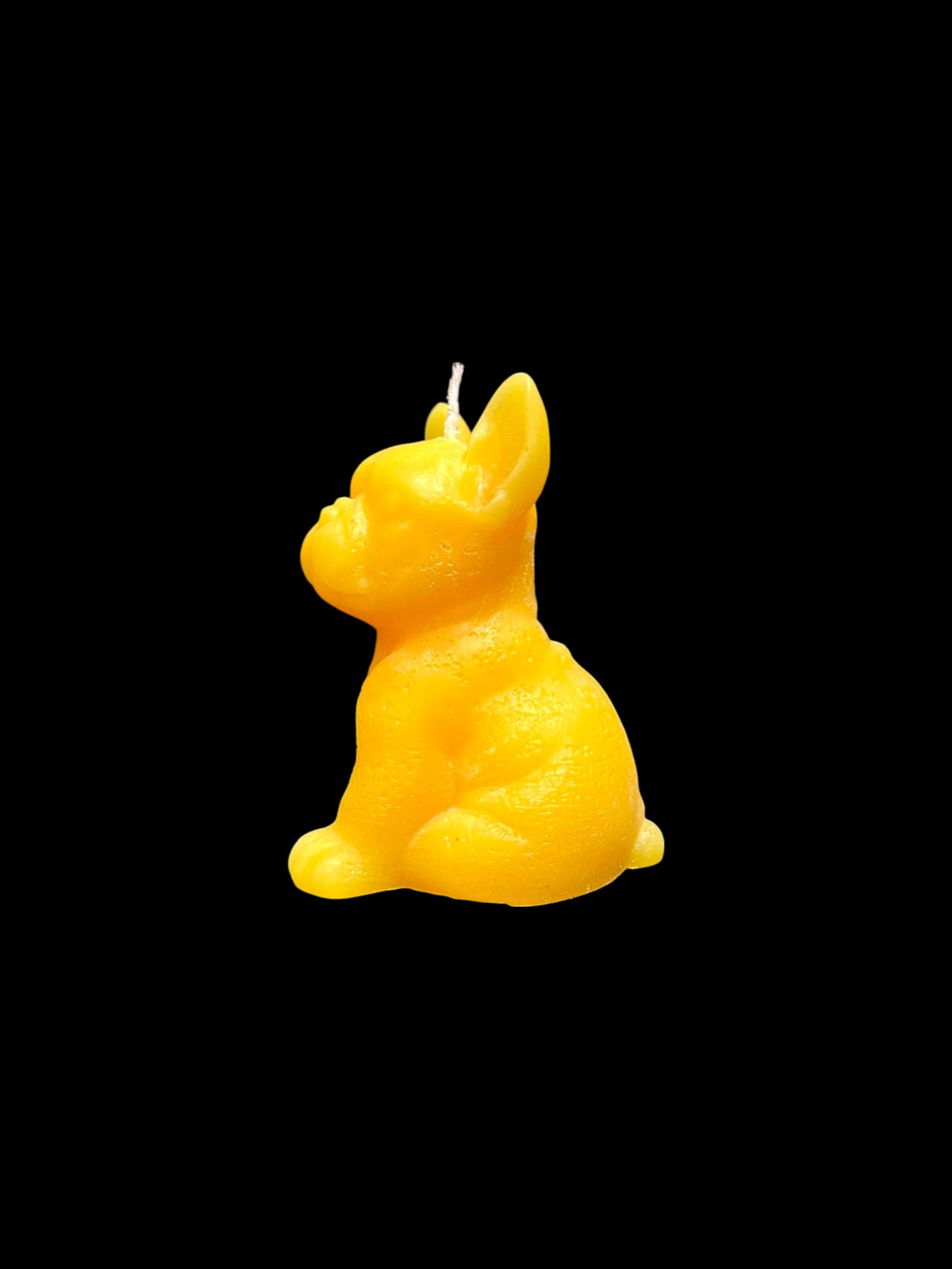BULLDOG giallo
