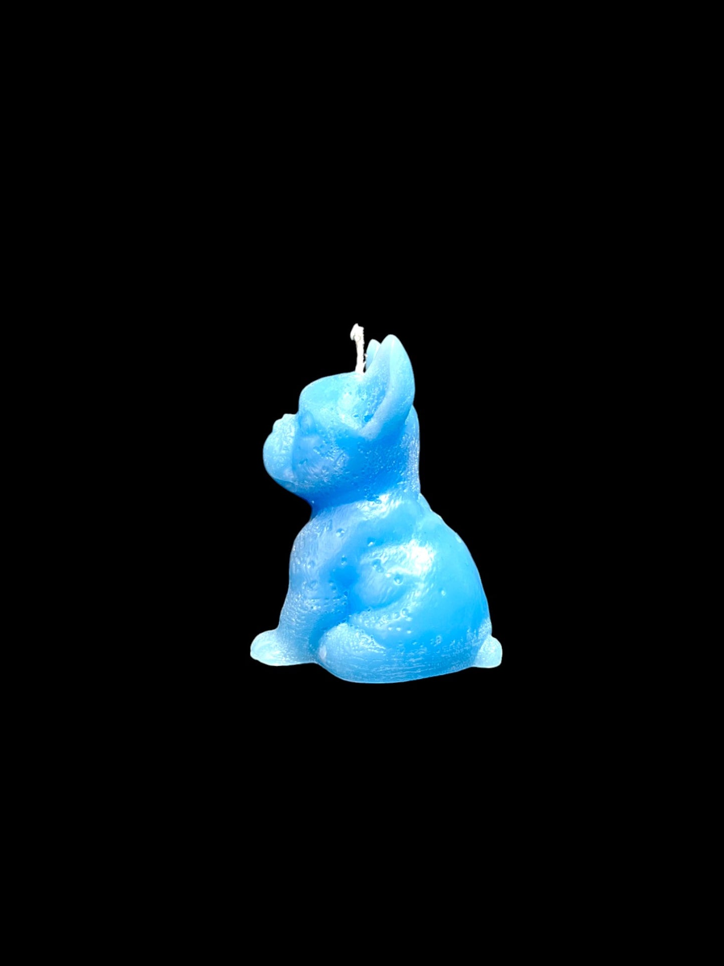 BULLDOG azzurro