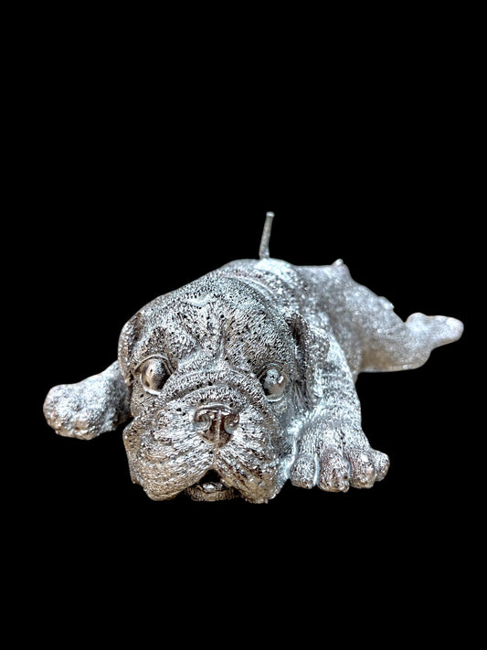 BULLDOG DISTESO argento