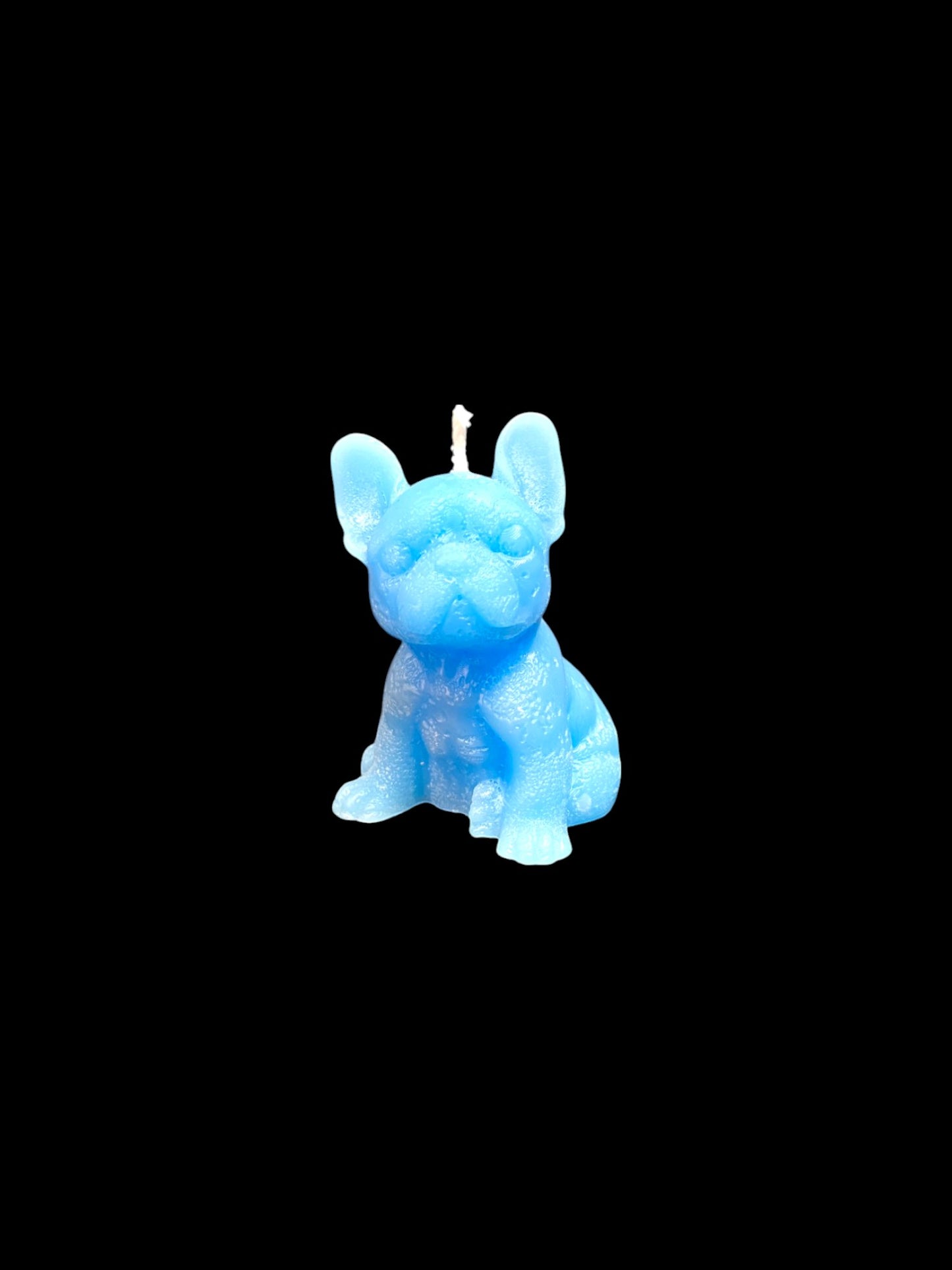 BULLDOG azzurro