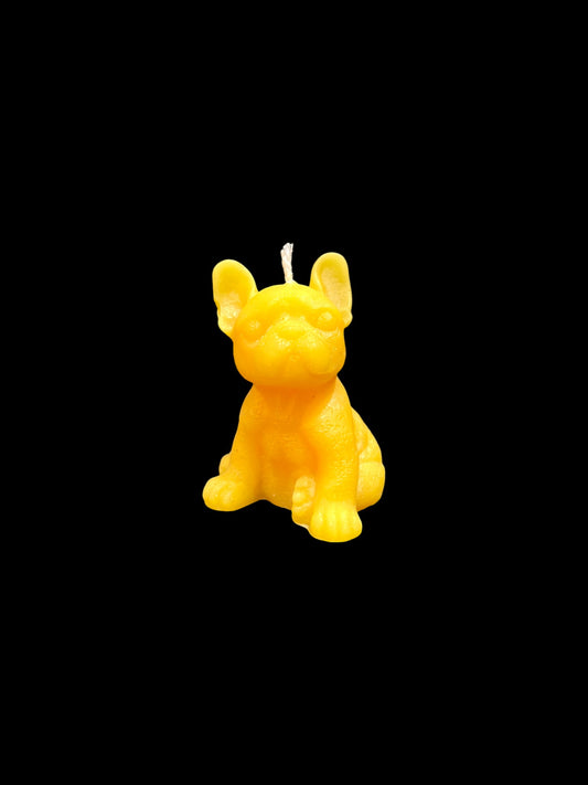 BULLDOG giallo