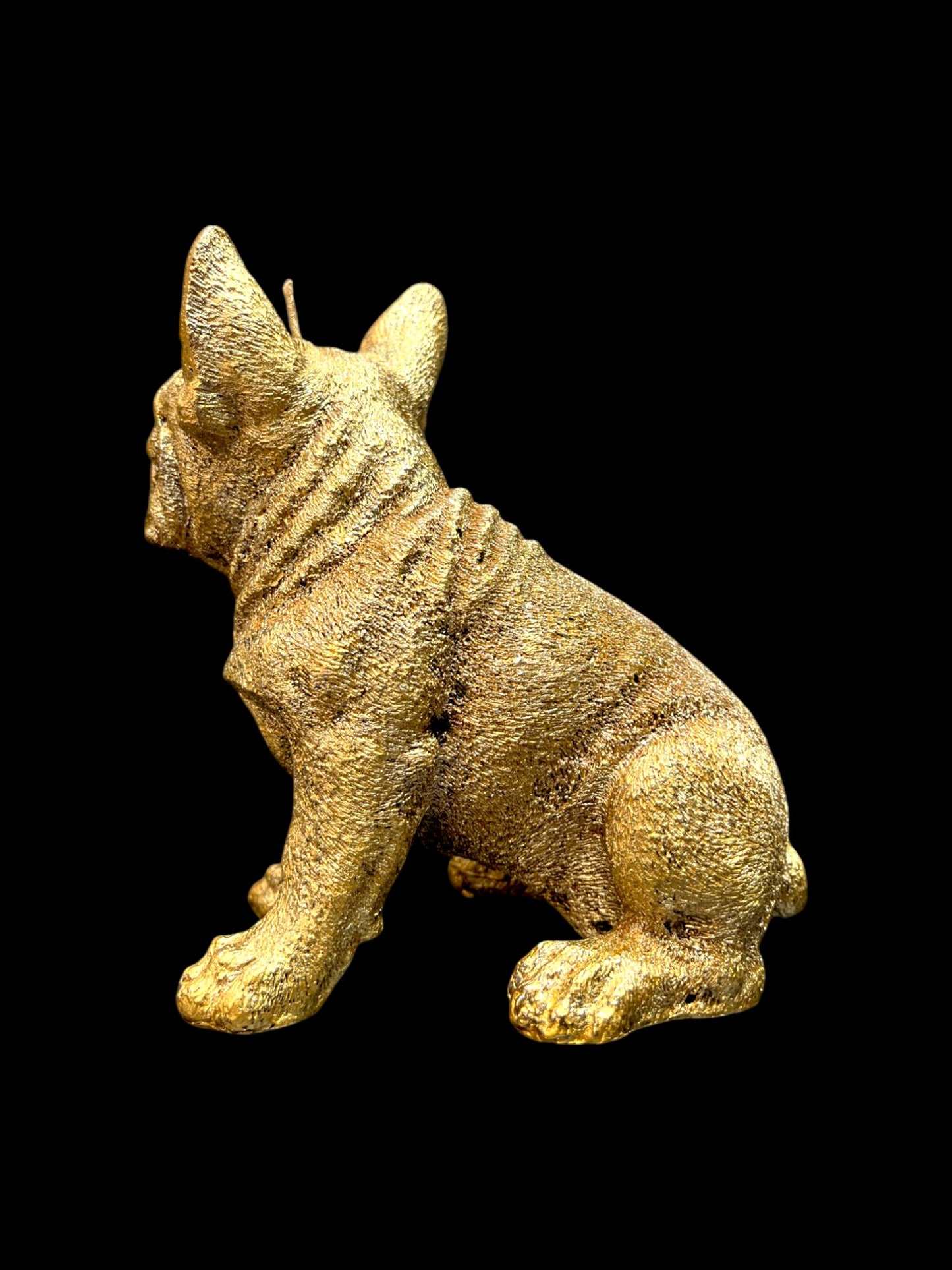 BULLDOG grande oro