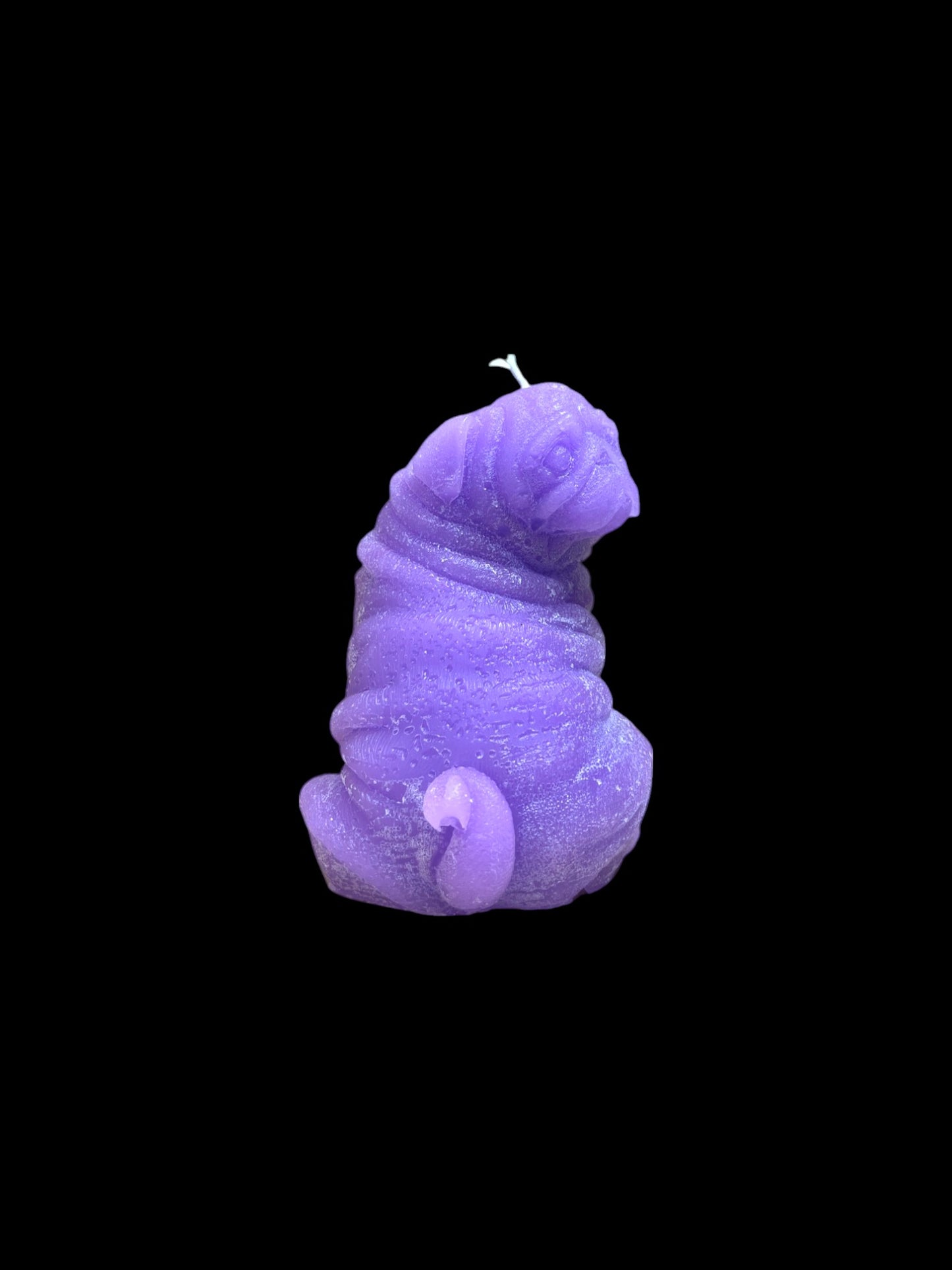 CARLINO viola