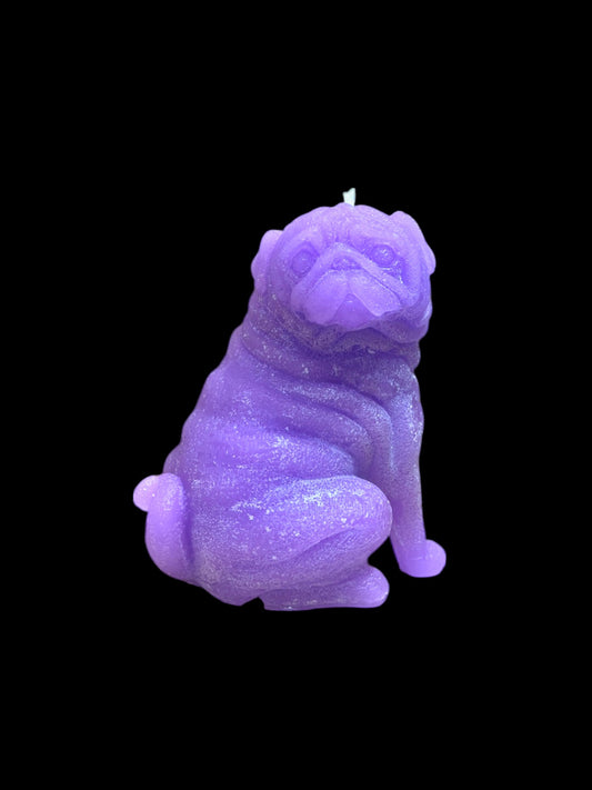 CARLINO viola
