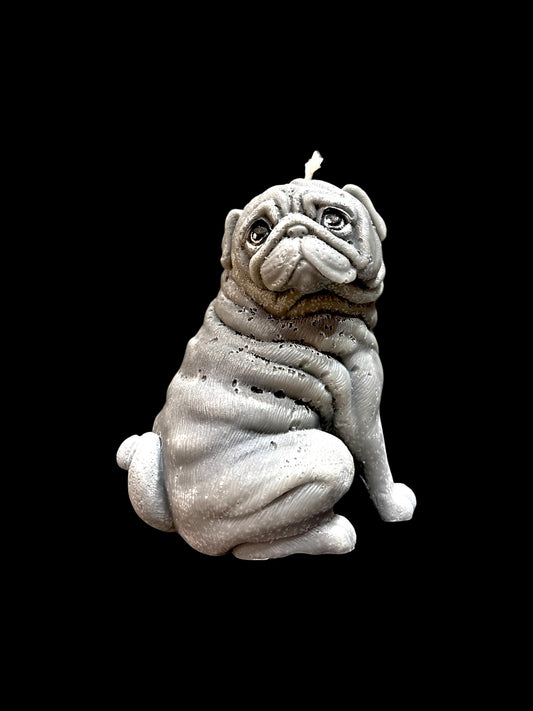 CARLINO grigio