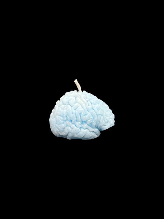 CERVELLO azzurro