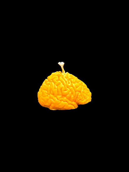CERVELLO giallo