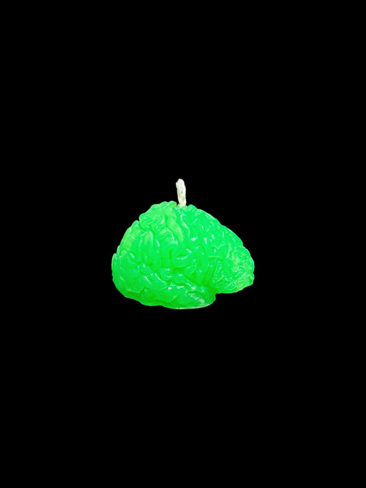CERVELLO verde