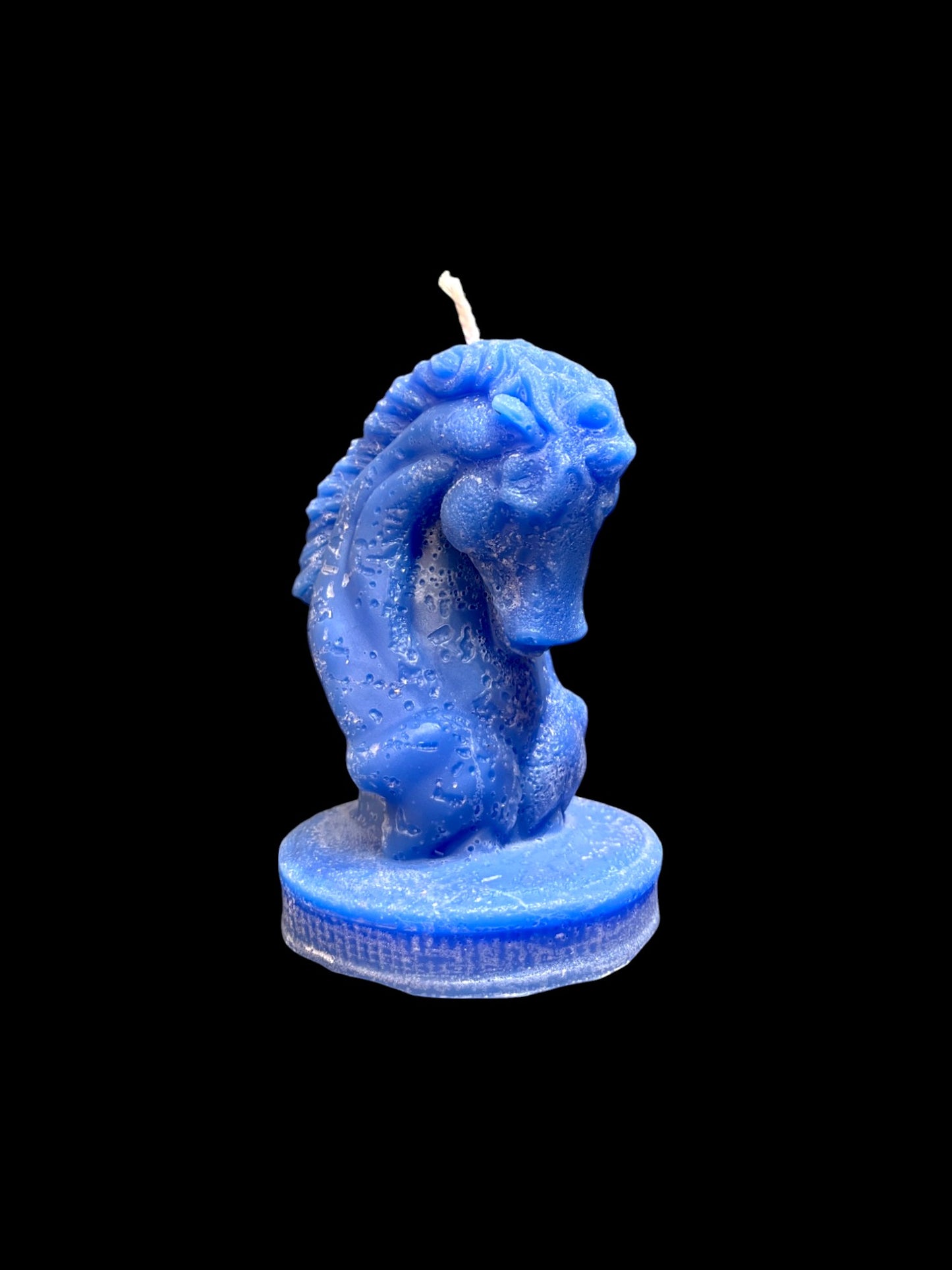 CAVALLO SCACCHI blu