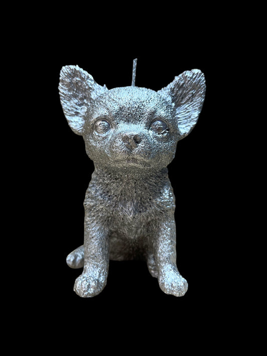 CHIHUAHUA argento