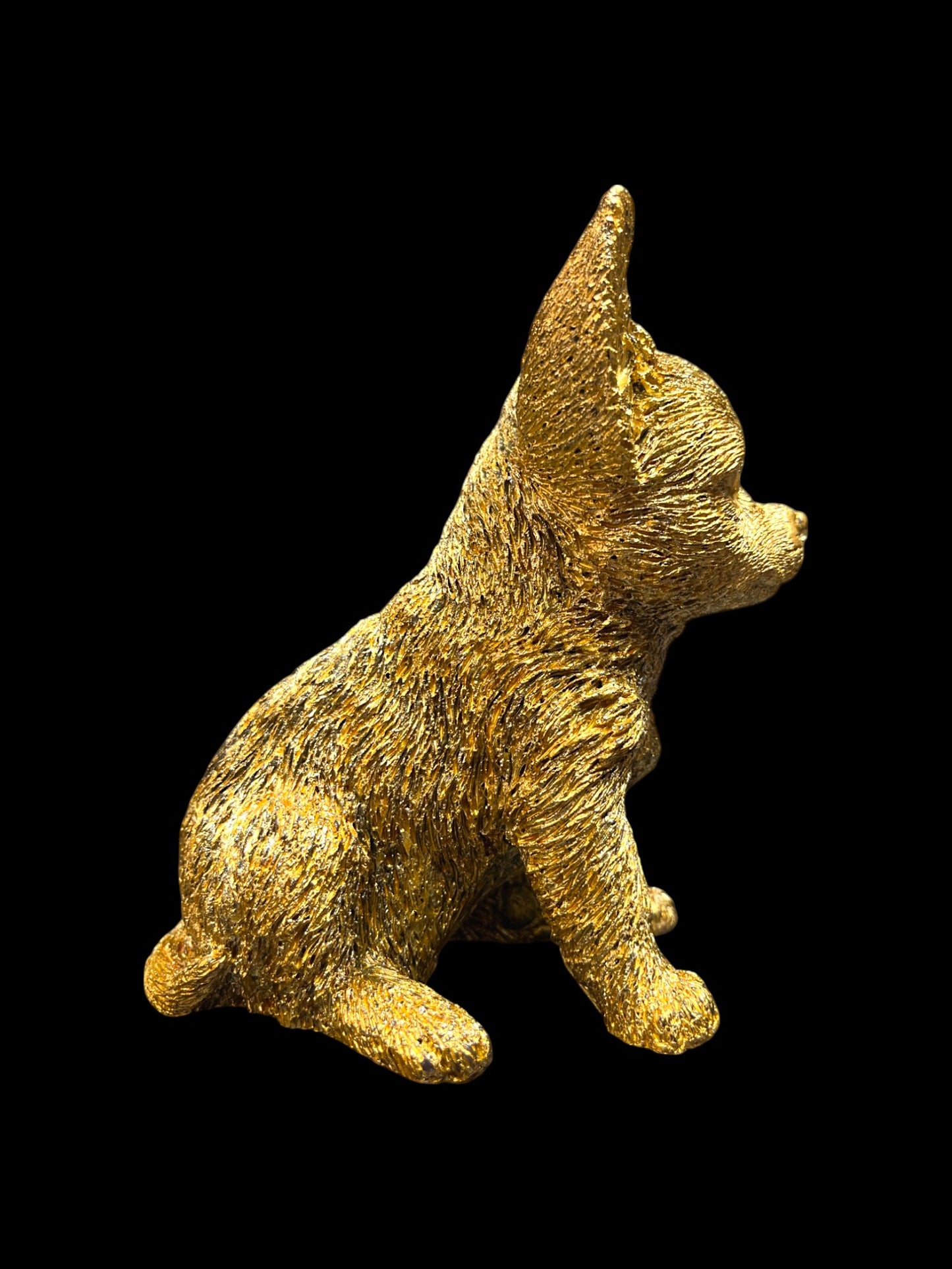 CHIHUAHUA oro