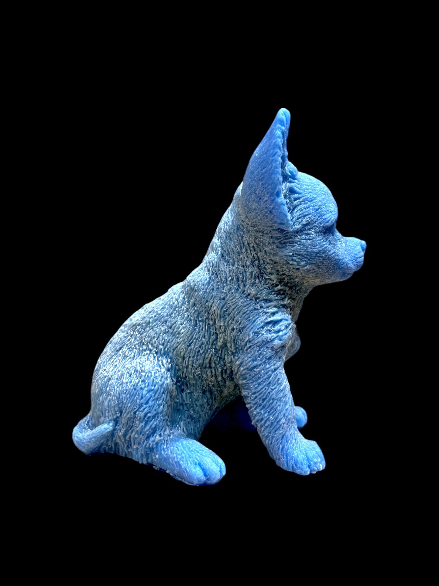 CHIHUAHUA blu