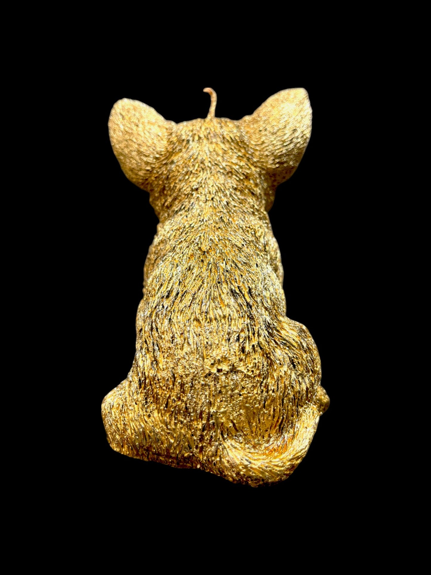 CHIHUAHUA oro