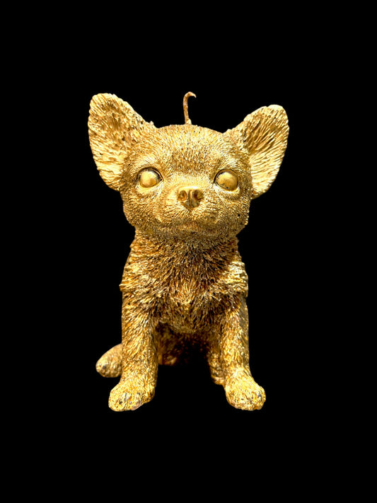 CHIHUAHUA oro