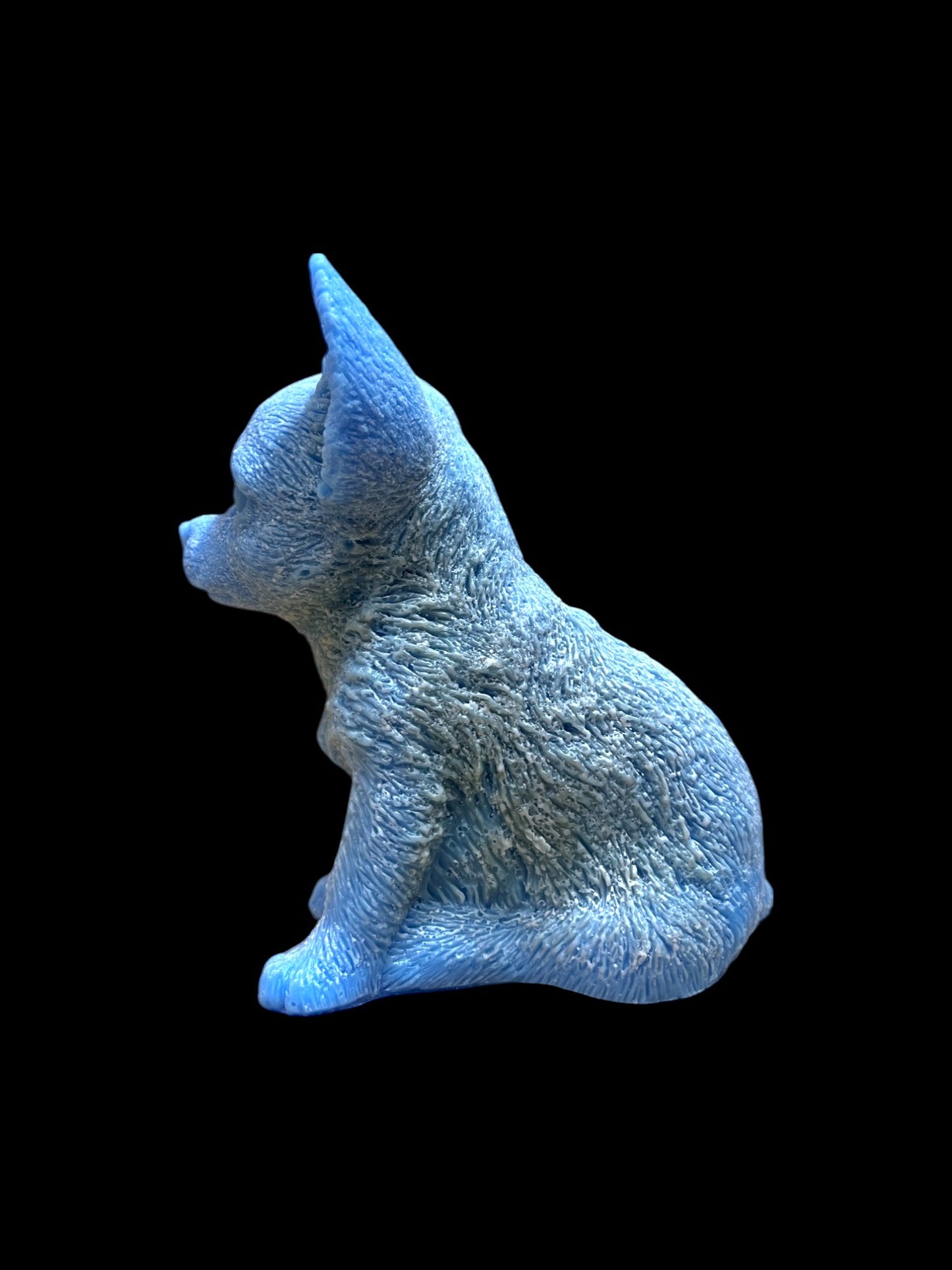 CHIHUAHUA blu
