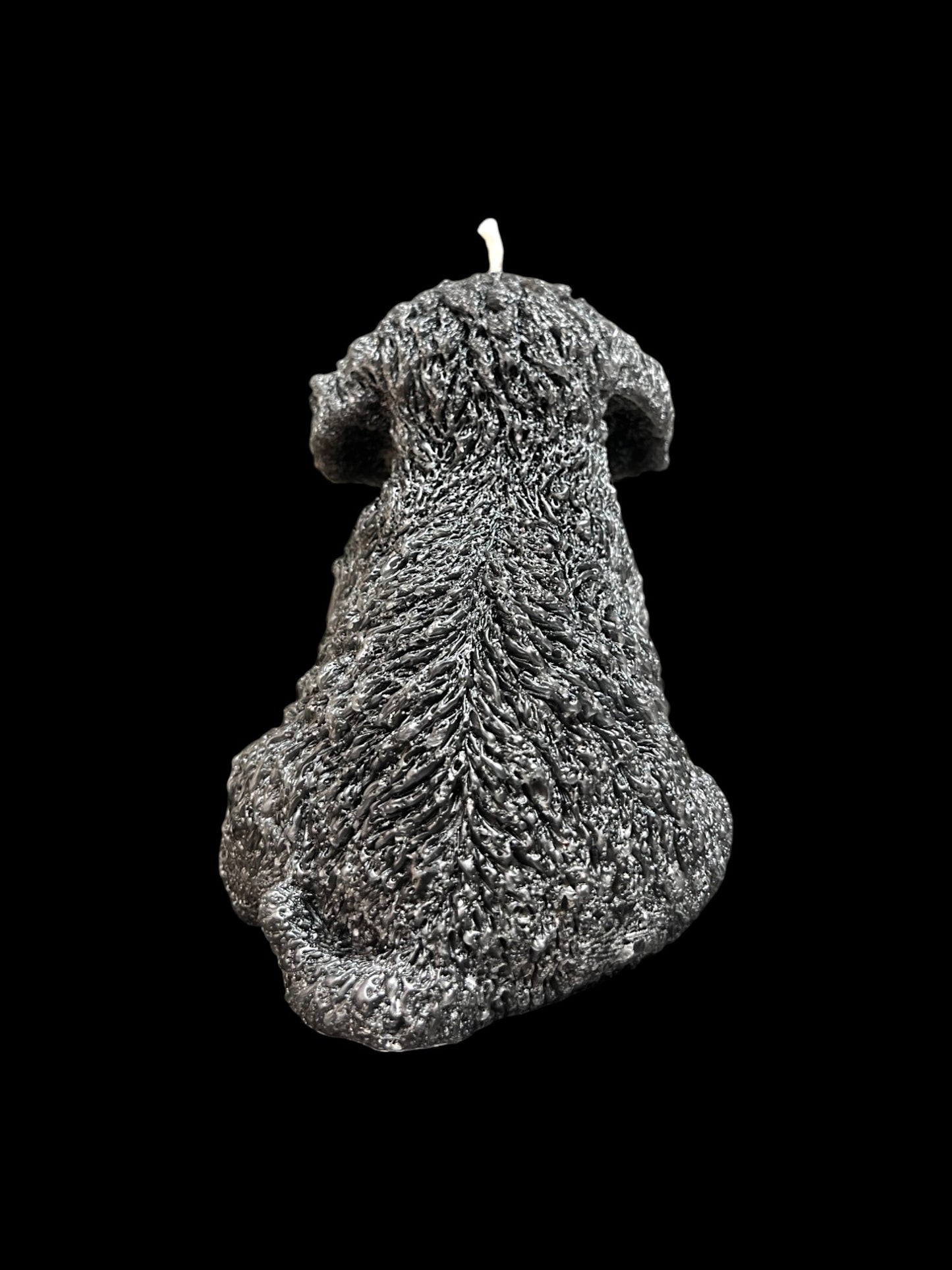 MALTIPOO nero
