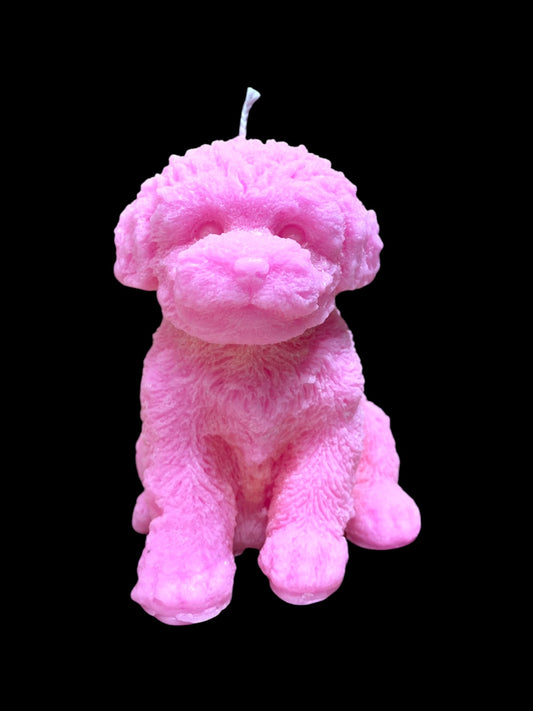 MALTIPOO rosa