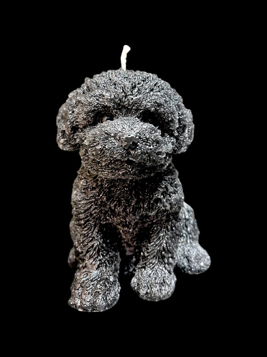 MALTIPOO nero