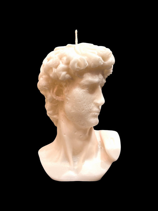 DAVID DI MICHELANGELO bianco