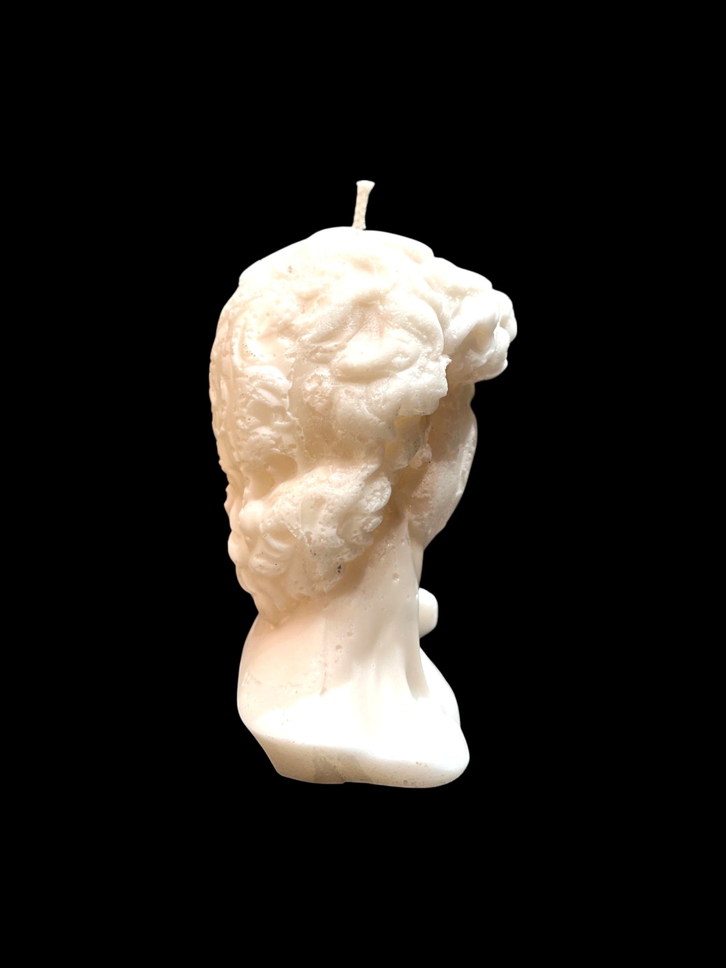 DAVID DI MICHELANGELO bianco