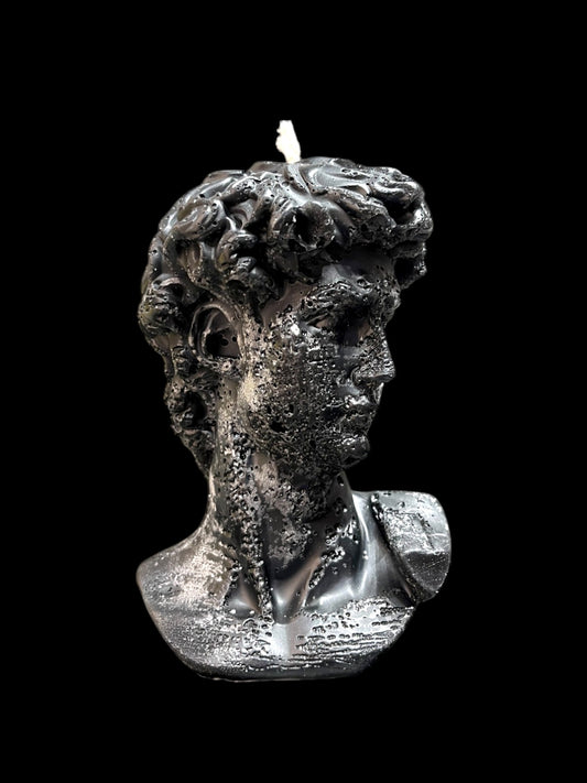 DAVID DI MICHELANGELO nero