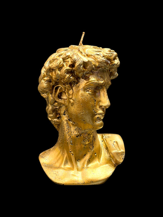 DAVID DI MICHELANGELO oro