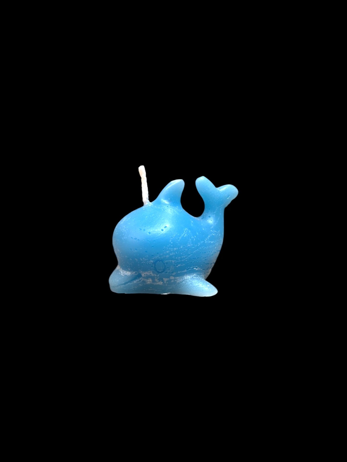 DELFINO azzurro