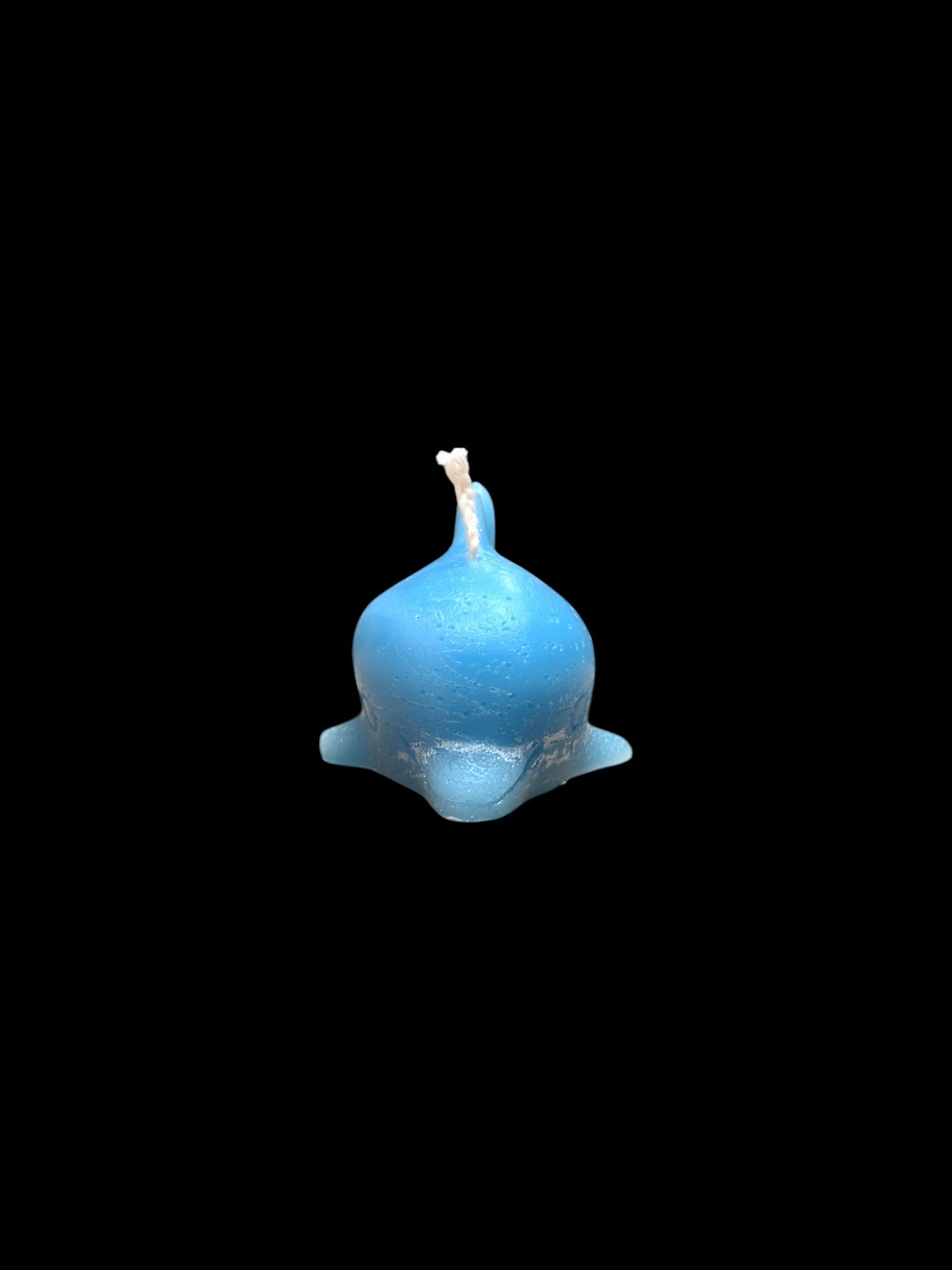DELFINO azzurro
