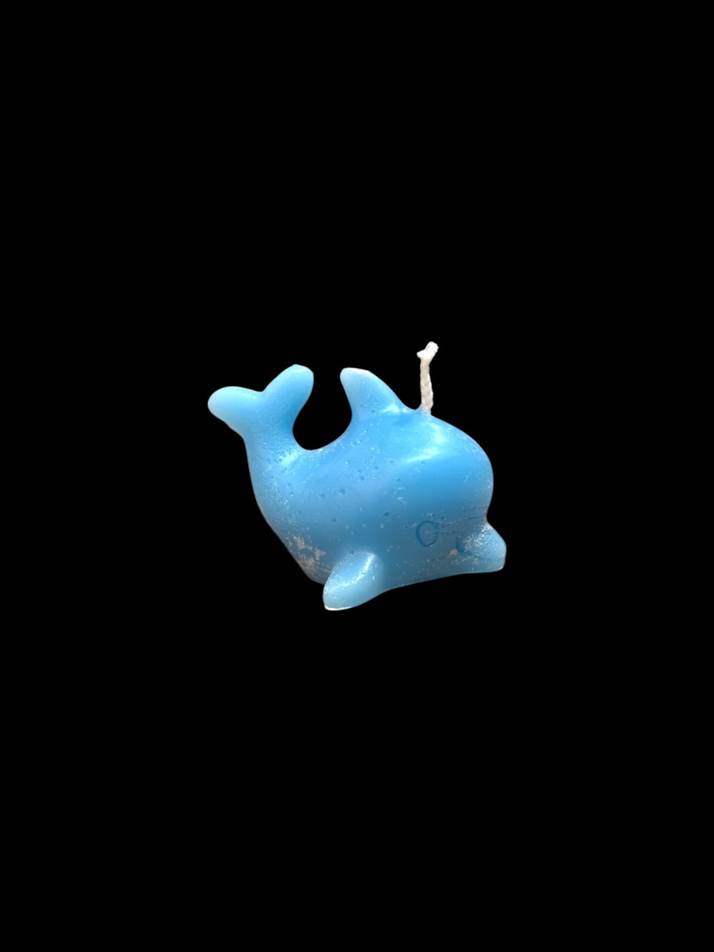 DELFINO azzurro