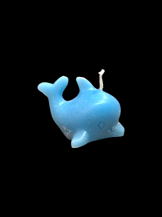 DELFINO azzurro